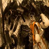 Edge Jail And Dungeon 040