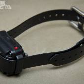 Iq Plus Collar 001