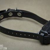 Iq Plus Collar 002