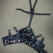 Dsg Open Mouth Gag 011
