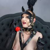 How Wolfram Ballgag 020