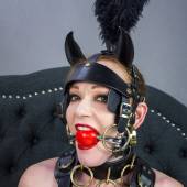 How Wolfram Ballgag 023
