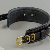 Dsg Shock Collar Wide 002 Dsg Shock Collar Wide 002