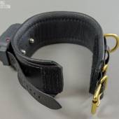 Dsg Shock Collar Wide 003 Dsg Shock Collar Wide 003