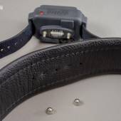 Dsg Shock Collar Wide 004 Dsg Shock Collar Wide 004