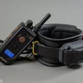 Dsg Shock Collar Wide 006 Dsg Shock Collar Wide 006