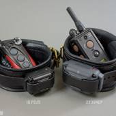 Dsg Shock Collar Wide 008 Dsg Shock Collar Wide 008