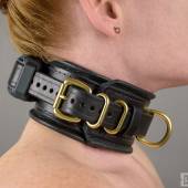 Dsg Shock Collar Wide 009 Dsg Shock Collar Wide 009