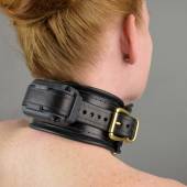 Dsg Shock Collar Wide 011 Dsg Shock Collar Wide 011