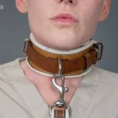 Dsg Shock Collar Wide 017 Dsg Shock Collar Wide 017