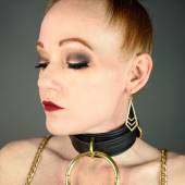 Dsg Utility Collar 007